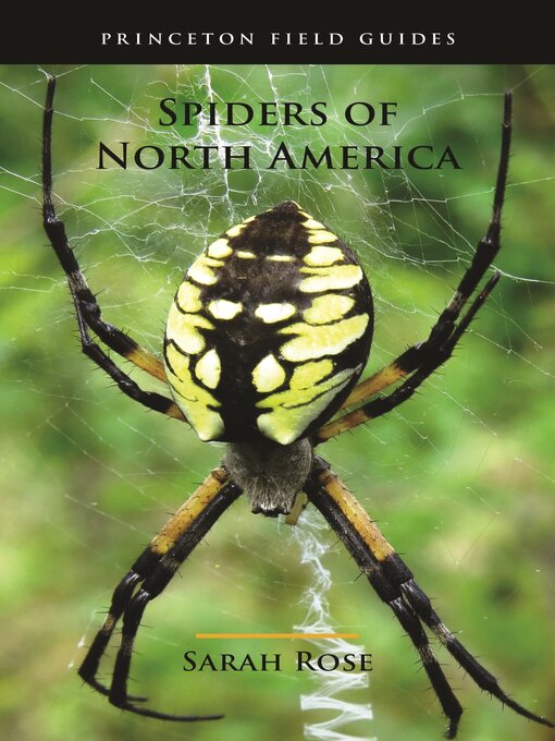 Title details for Spiders of North America by Sarah Rose - Available